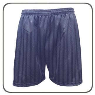 Navy PE Shorts